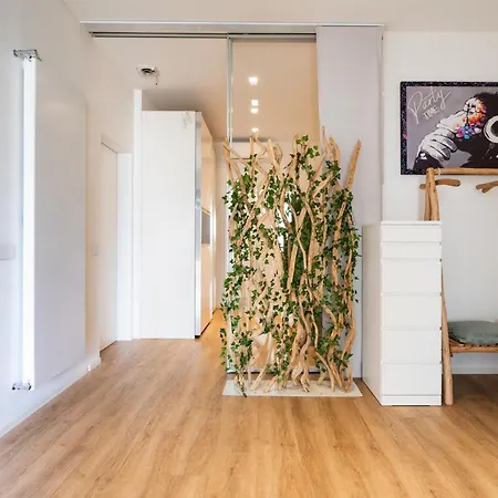 Terrace Apartment *